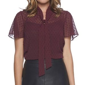 BB Dakota Sheer V-Neck Polka Dot Blouse